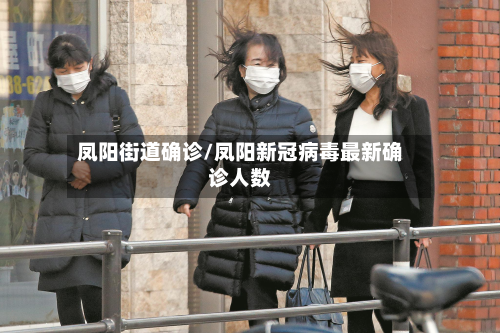 凤阳街道确诊/凤阳新冠病毒最新确诊人数