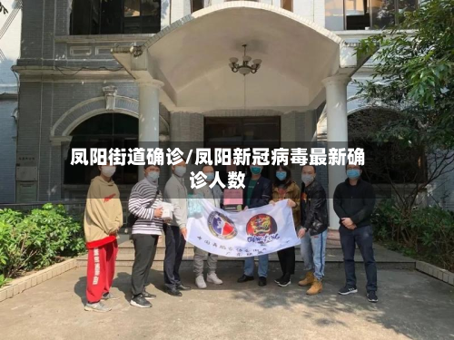 凤阳街道确诊/凤阳新冠病毒最新确诊人数-第2张图片