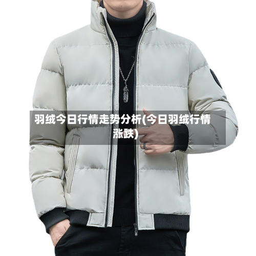 羽绒今日行情走势分析(今日羽绒行情涨跌)