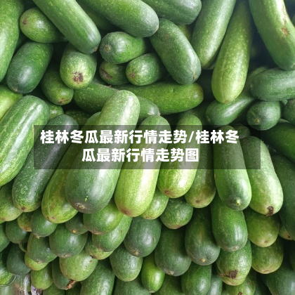桂林冬瓜最新行情走势/桂林冬瓜最新行情走势图