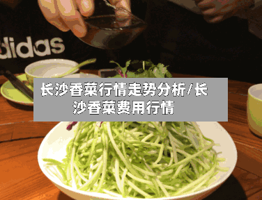 长沙香菜行情走势分析/长沙香菜费用行情-第2张图片