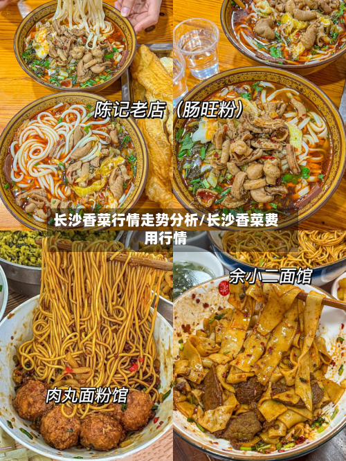 长沙香菜行情走势分析/长沙香菜费用行情-第3张图片