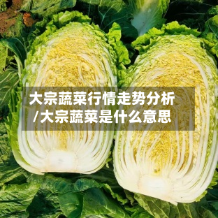 大宗蔬菜行情走势分析/大宗蔬菜是什么意思