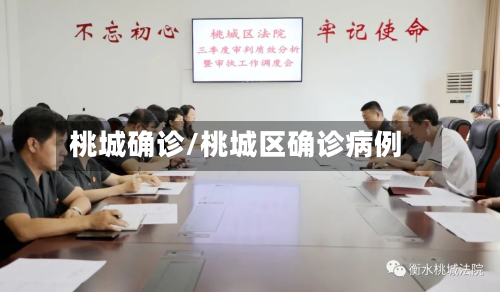 桃城确诊/桃城区确诊病例