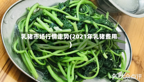 乳猪市场行情走势(2021年乳猪费用)-第2张图片