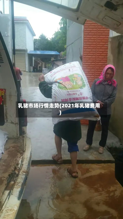乳猪市场行情走势(2021年乳猪费用)