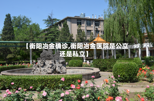 【衡阳冶金确诊,衡阳冶金医院是公立还是私立】