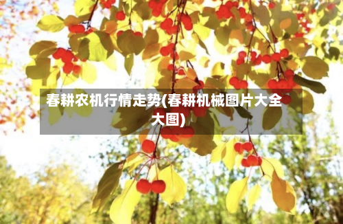 春耕农机行情走势(春耕机械图片大全大图)