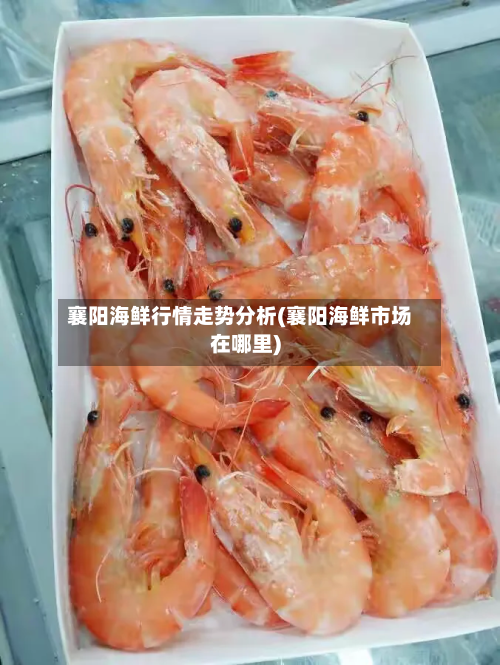 襄阳海鲜行情走势分析(襄阳海鲜市场在哪里)