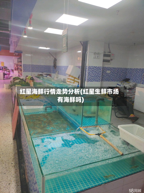 红星海鲜行情走势分析(红星生鲜市场有海鲜吗)