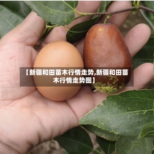 【新疆和田苗木行情走势,新疆和田苗木行情走势图】-第3张图片