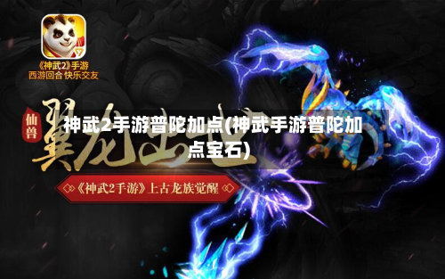 神武2手游普陀加点(神武手游普陀加点宝石)