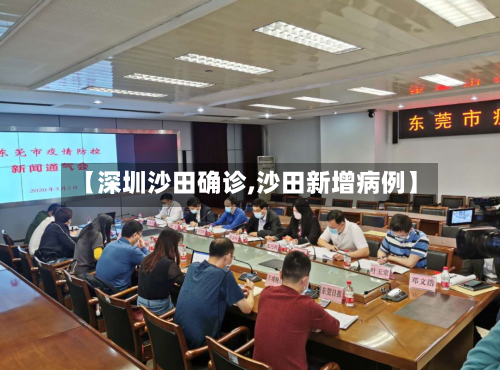 【深圳沙田确诊,沙田新增病例】-第2张图片