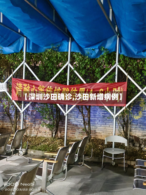 【深圳沙田确诊,沙田新增病例】
