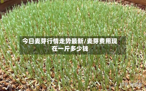 今日麦芽行情走势最新/麦芽费用现在一斤多少钱-第3张图片