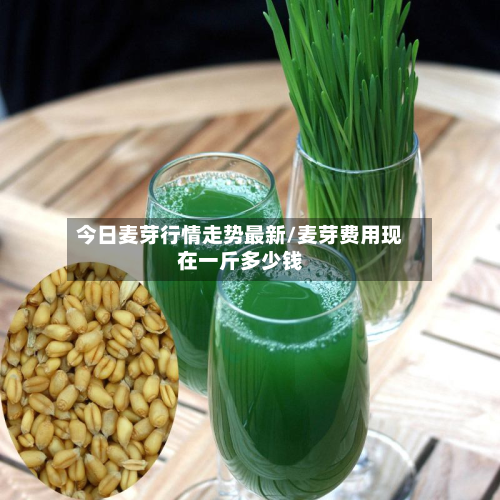 今日麦芽行情走势最新/麦芽费用现在一斤多少钱-第2张图片