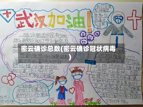 密云确诊总数(密云确诊冠状病毒)-第2张图片