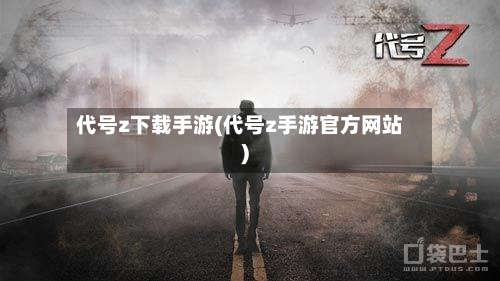 代号z下载手游(代号z手游官方网站)-第2张图片