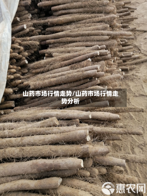 山药市场行情走势/山药市场行情走势分析