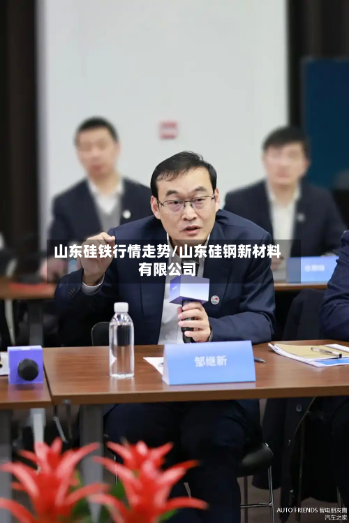 山东硅铁行情走势/山东硅钢新材料有限公司