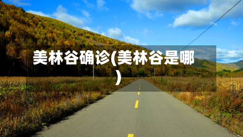 美林谷确诊(美林谷是哪)