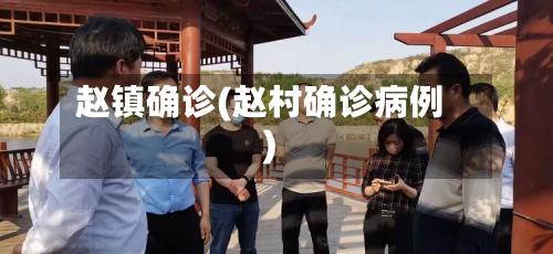 赵镇确诊(赵村确诊病例)