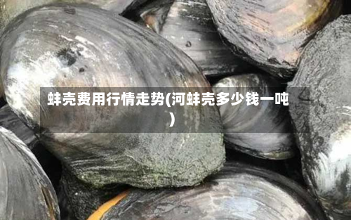 蚌壳费用行情走势(河蚌壳多少钱一吨)
