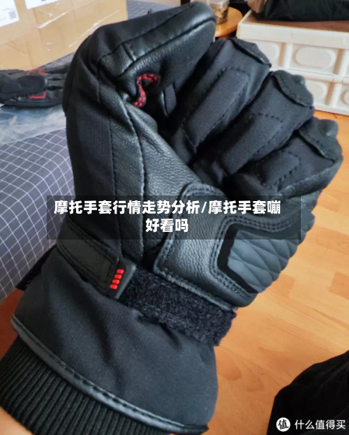 摩托手套行情走势分析/摩托手套嘣好看吗-第3张图片