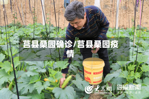 莒县桑园确诊/莒县桑园疫情-第2张图片