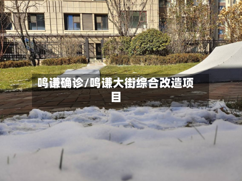 鸣谦确诊/鸣谦大街综合改造项目