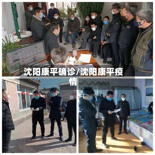 沈阳康平确诊/沈阳康平疫情-第2张图片