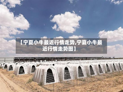 【宁夏小牛最近行情走势,宁夏小牛最近行情走势图】-第2张图片