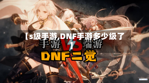 【s级手游,DNF手游多少级了】-第2张图片