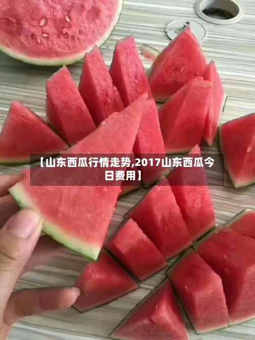 【山东西瓜行情走势,2017山东西瓜今日费用】-第3张图片