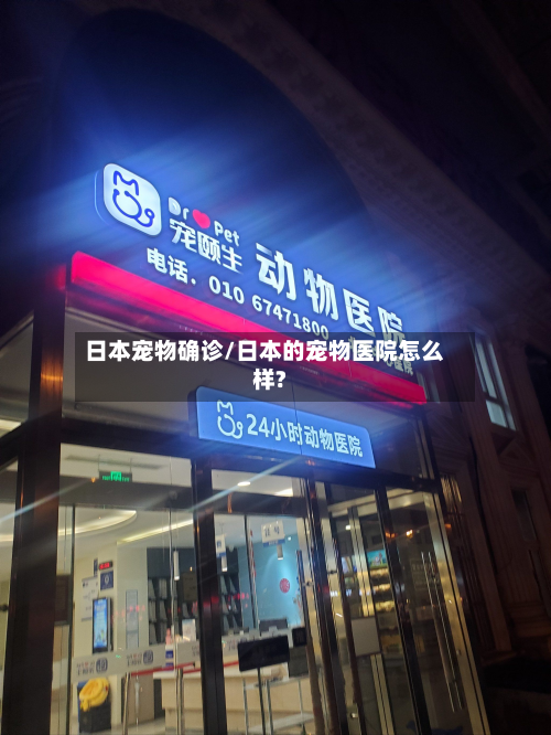 日本宠物确诊/日本的宠物医院怎么样?