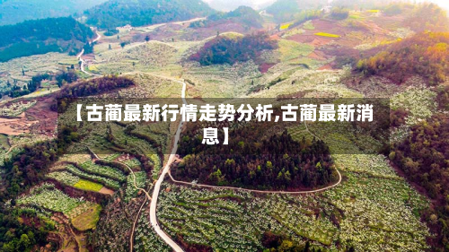 【古蔺最新行情走势分析,古蔺最新消息】-第3张图片
