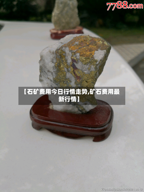 【石矿费用今日行情走势,矿石费用最新行情】-第3张图片