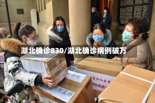湖北确诊830/湖北确诊病例破万-第2张图片