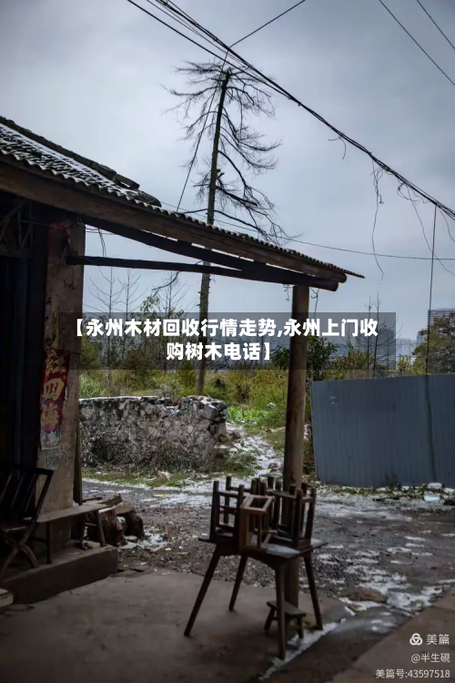 【永州木材回收行情走势,永州上门收购树木电话】-第3张图片