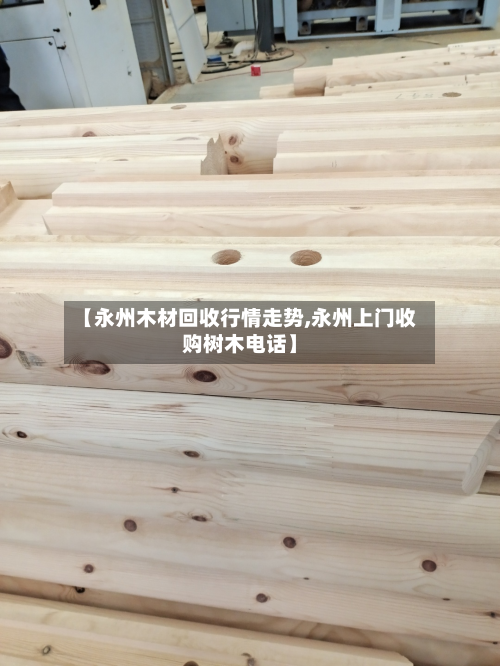 【永州木材回收行情走势,永州上门收购树木电话】