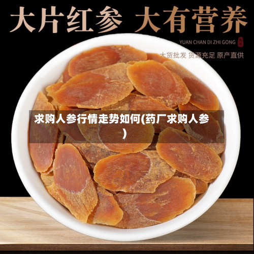 求购人参行情走势如何(药厂求购人参)