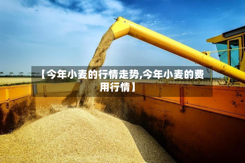 【今年小麦的行情走势,今年小麦的费用行情】