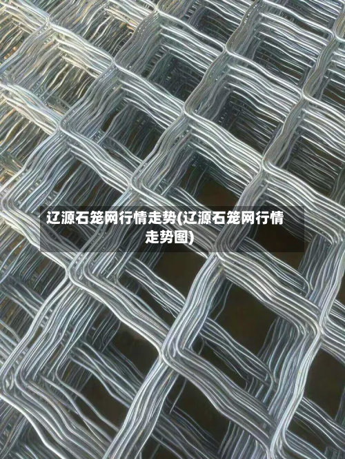 辽源石笼网行情走势(辽源石笼网行情走势图)