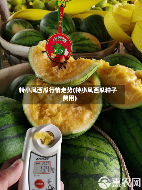 特小凤西瓜行情走势(特小凤西瓜种子费用)-第2张图片
