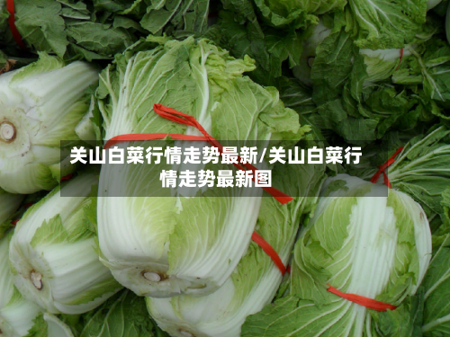 关山白菜行情走势最新/关山白菜行情走势最新图