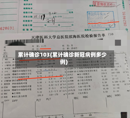 累计确诊103(累计确诊新冠病例多少例)-第3张图片