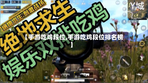 【手游吃鸡段位,手游吃鸡段位排名榜】-第3张图片