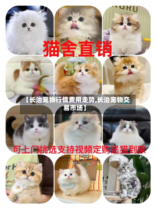 【长治宠物行情费用走势,长治宠物交易市场】-第3张图片