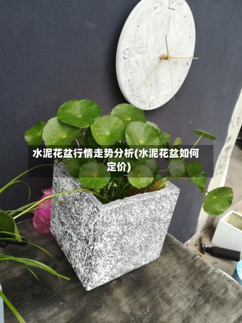 水泥花盆行情走势分析(水泥花盆如何定价)-第1张图片