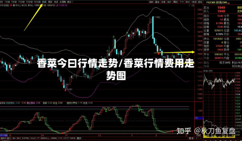 香菜今曰行情走势/香菜行情费用走势图